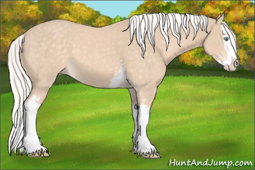 Horse Color:White Spotted Silver Perlino Splash 