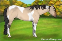 Horse Color:Brown Dun Tobiano 
