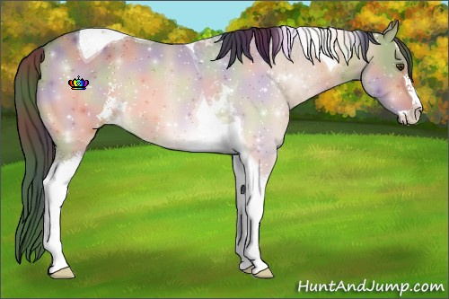Horse Color:ERROR: UNKNOWN ANOMALY
