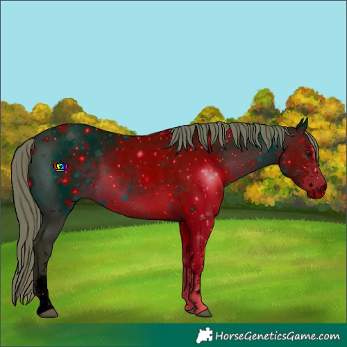 Horse Color:ERROR: UNKNOWN ANOMALY