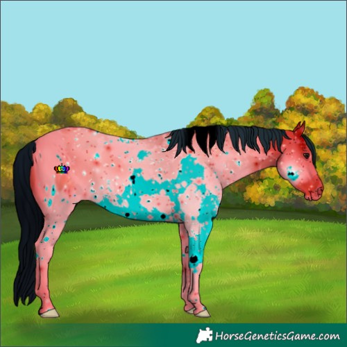 Horse Color:ERROR: UNKNOWN ANOMALY