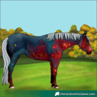 Horse Color:ERROR: UNKNOWN ANOMALY