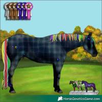 Horse Color:ERROR: UNKNOWN ANOMALY