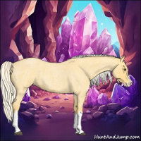 Horse Color:Palomino Roan Splash 