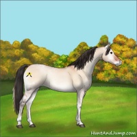 Horse Color:Bay Ice Onyx 