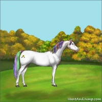 Horse Color:Painted Silver Grullo Splash Frame Near Fewspot 