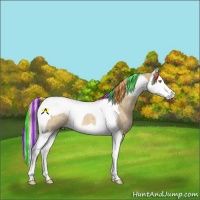 Horse Color:Painted Chocolate Palomino Dun Splash Tobiano 