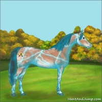 Horse Color:Thunderstruck Bay Ice 