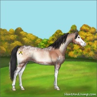 Horse Color:Brown Ice Onyx Sabino 