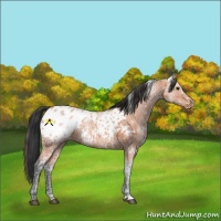 Horse Color:White Spotted Bay Ice Blanket 