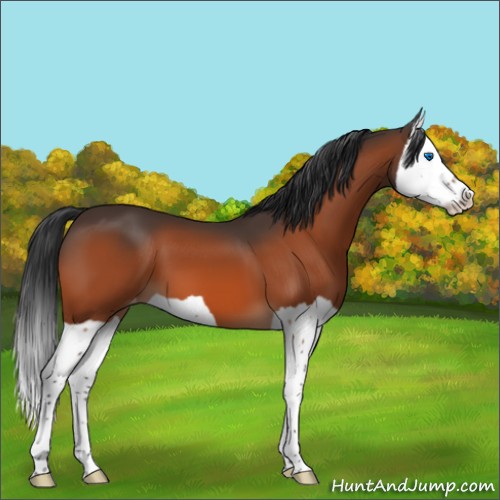 Horse Color:Brown Splash Varnish