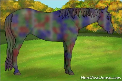 Horse Color:Nacre Black 
