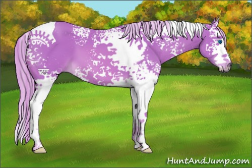 Horse Color:Watercolor White Spotted Palomino Splash Tobiano