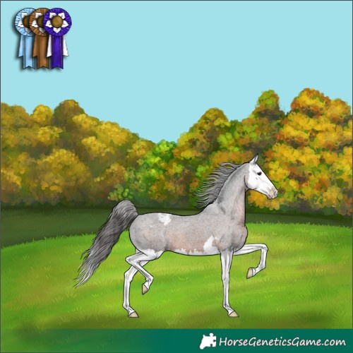 Horse Color:Brown Splash Snowcap