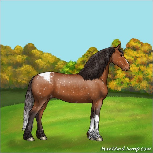 Horse Color:Buckskin Snowcap 