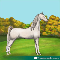 Horse Color:Perlino Snowcap 