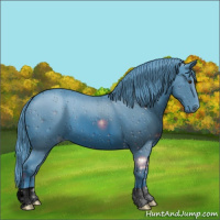Horse Color:ERROR: UNKNOWN ANOMALY