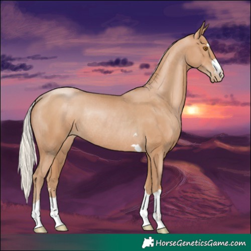 Horse Color:Silver Black Pearl Rabicano 