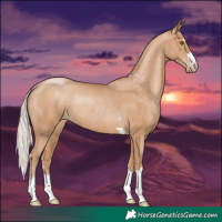 Horse Color:Silver Black Pearl Rabicano 