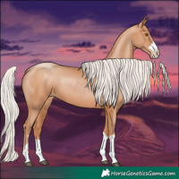 Horse Color:Silver Black Pearl 