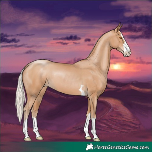 Horse Color:Silver Black Pearl 