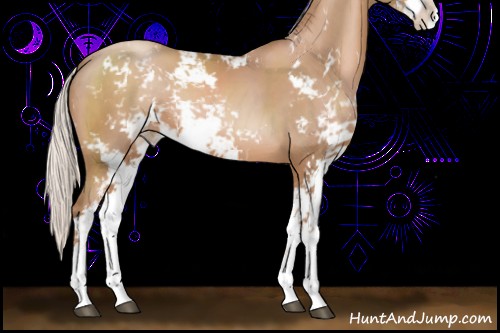 Horse Color:Silver Black Pearl Sabino 