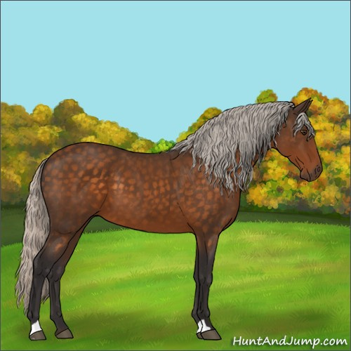 Horse Color:Silver Buckskin