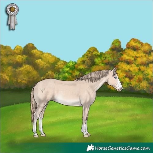 Horse Color:Perlino 