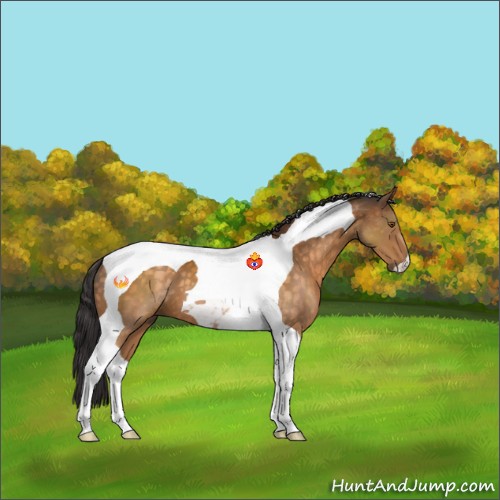 Horse Color:Buckskin Tobiano 