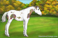 Horse Color:Nacre Silver Smoky Black Splash Tobiano 