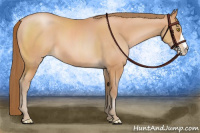Horse Color:Bay Pearl 