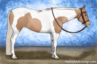 Horse Color:Silver Black Pearl Tobiano 