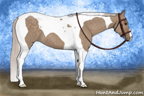 Horse Color:Silver Grullo Tobiano 