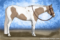 Horse Color:Silver Grullo Tobiano 