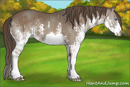 Horse Color:Liver Chestnut Splash  and Smoky Black Splash 