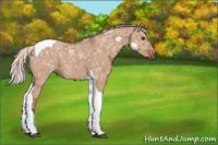 Horse Color:Silver Bay Ice Dun Tobiano 