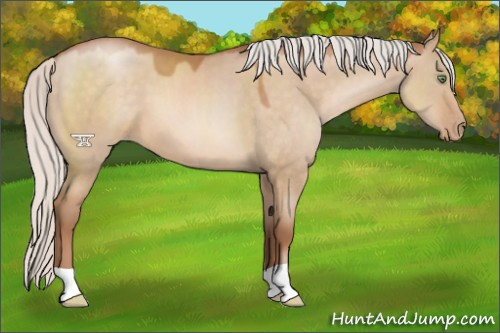 Horse Color:Silver Brown Pearl Dun 