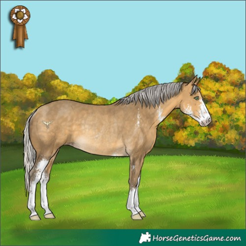 Horse Color:Silver Sable Cream Champagne Sabino Rabicano 