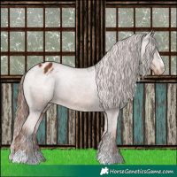Horse Color:Chestnut Varnish 