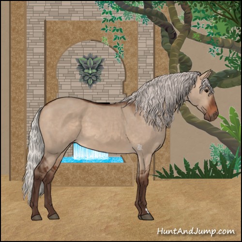 Horse Color:Silver Brown Dun