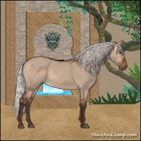 Horse Color:Silver Brown Dun 