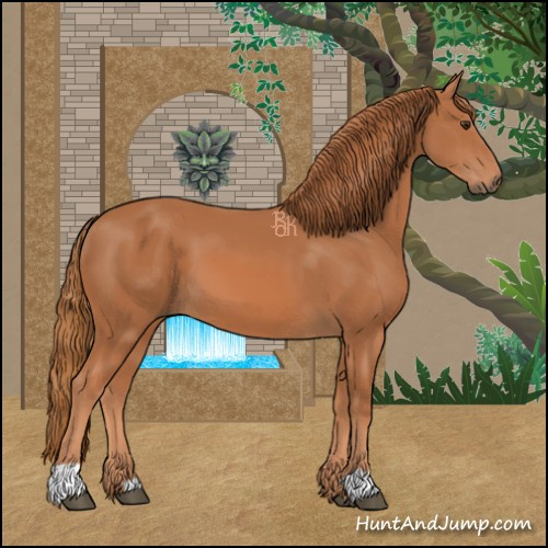 Horse Color:Chestnut 