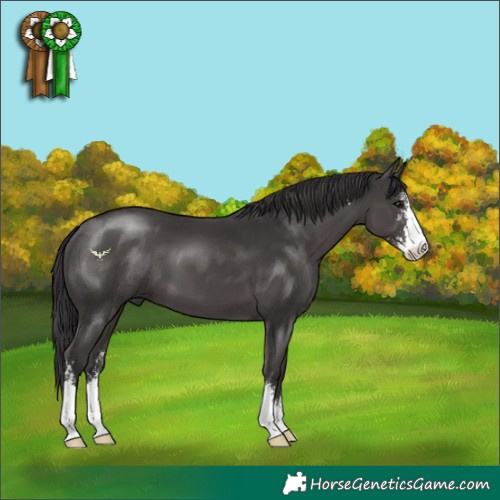 Horse Color:Smoky Black Sabino 