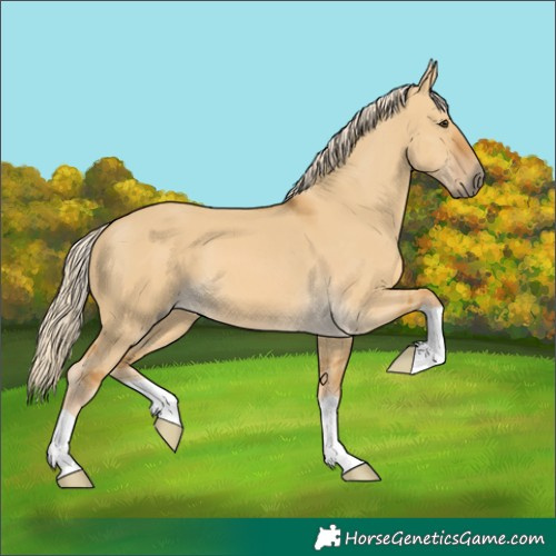 Horse Color:Palomino Dun