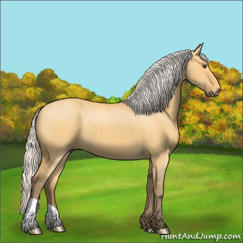 Horse Color:Silver Buckskin Dun Brindle