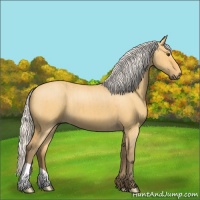 Horse Color:Silver Buckskin Dun Brindle 