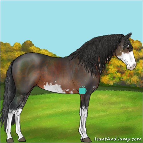 Horse Color:Brown Sabino 