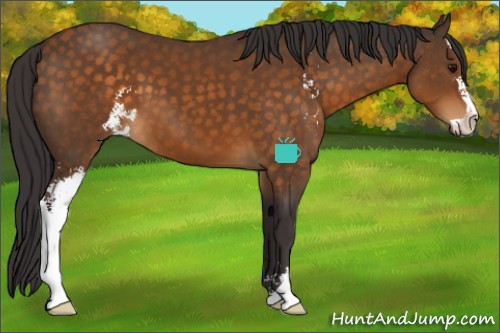 Horse Color:Buckskin Sabino