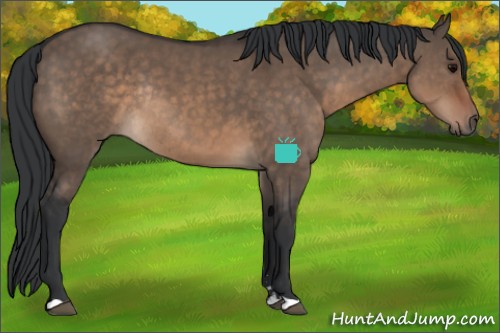 Horse Color:Brown Dun Sabino Rabicano