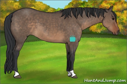 Horse Color:Brown Dun